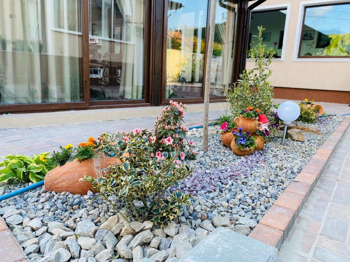 Casa Lacul Doamnei Ocnele Mari Exterior foto